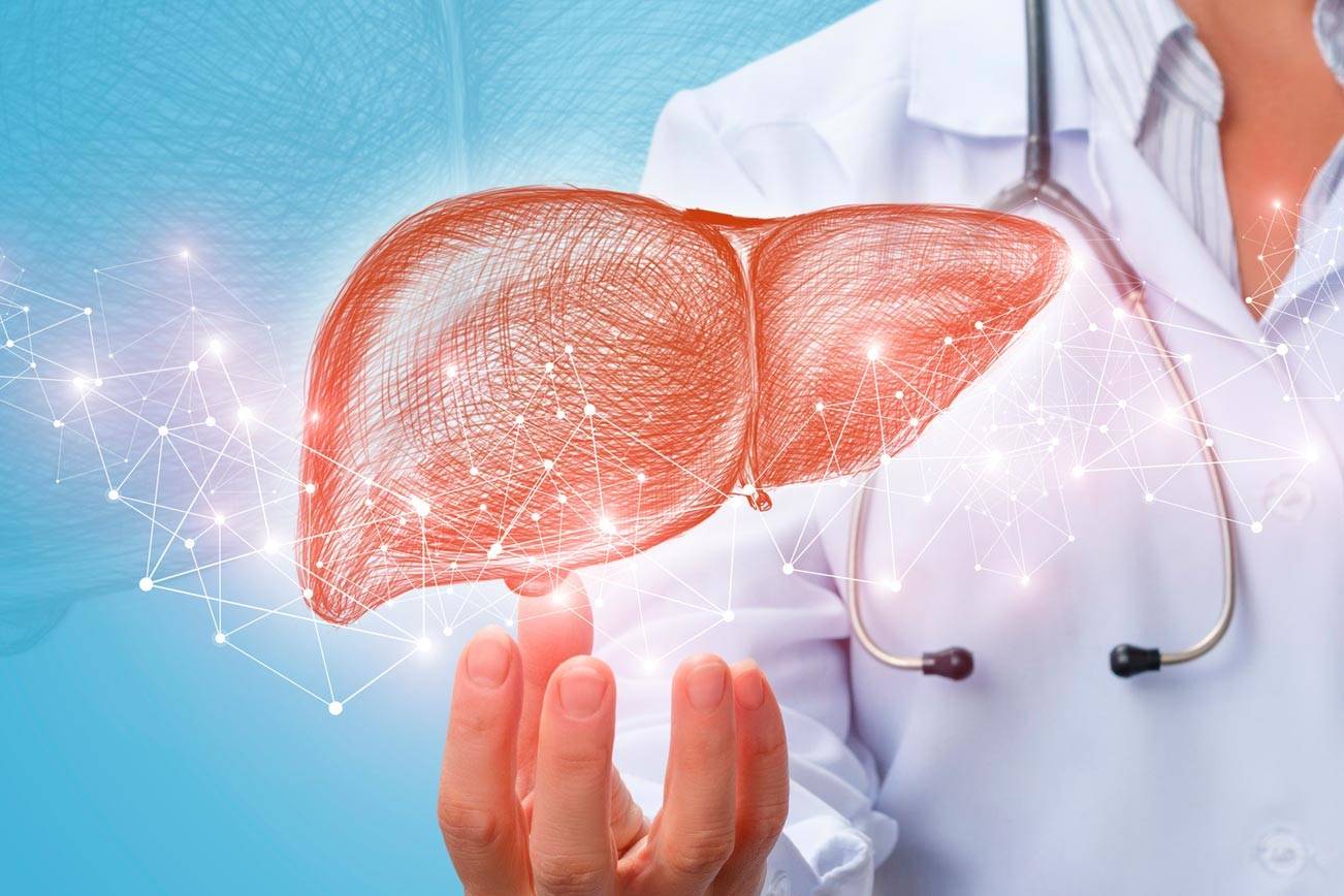 liver-2
